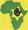 Pan Africanist Movement